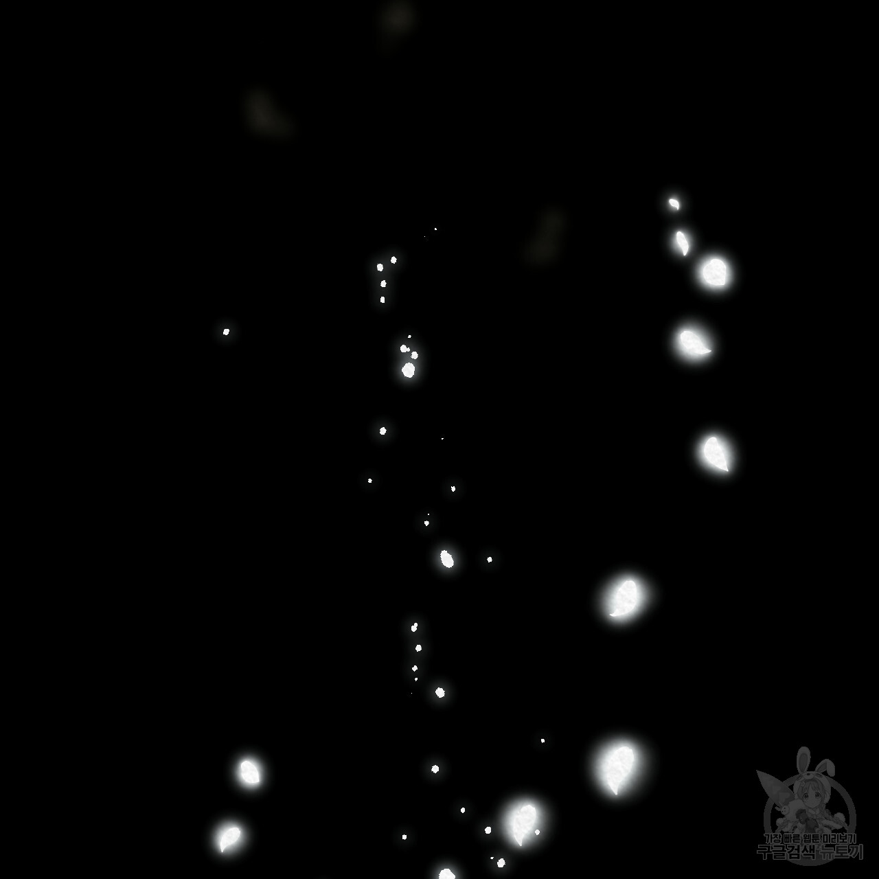 bt_1703555211_75761806184983.jpg