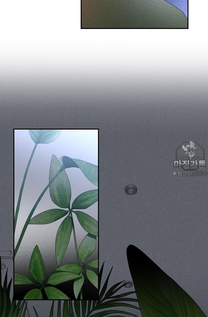 mzg_1702637836_75360825491223.jpg