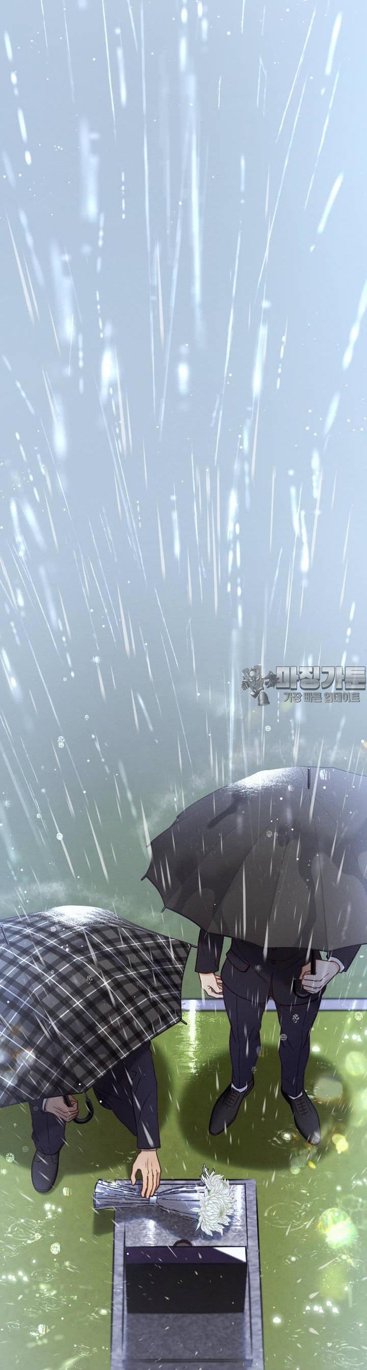 mzg_1706202354_10490941602956.jpg