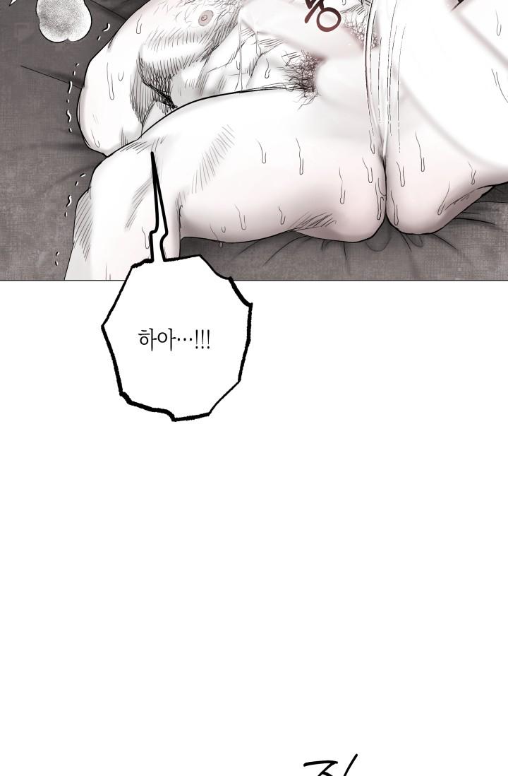 mzg_1702638067_26125909851858.jpg