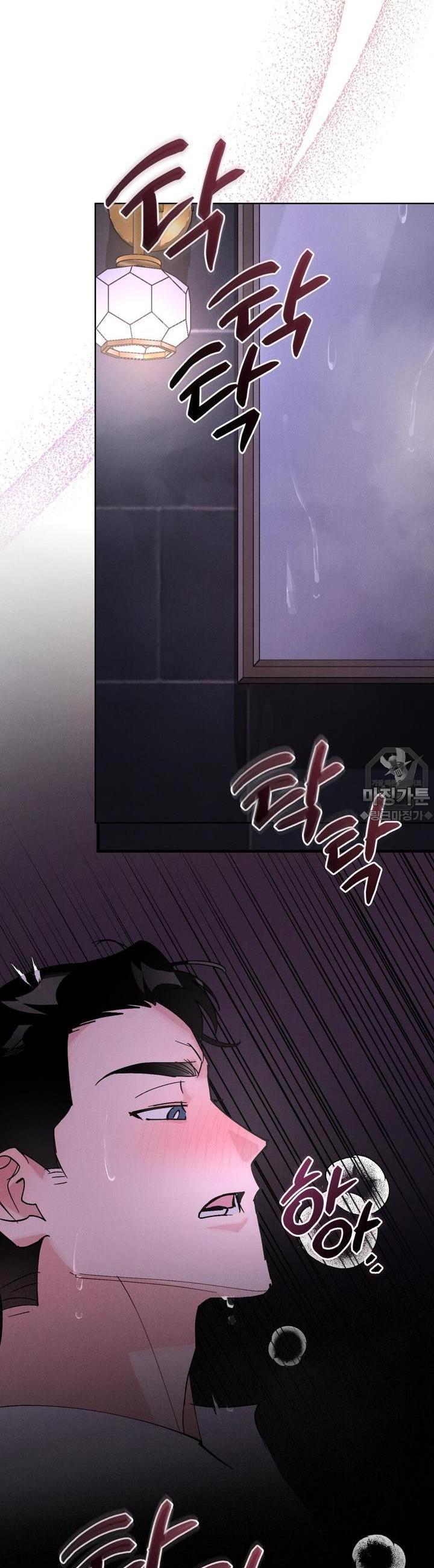 mzg_1703521221_95809169998794.jpg