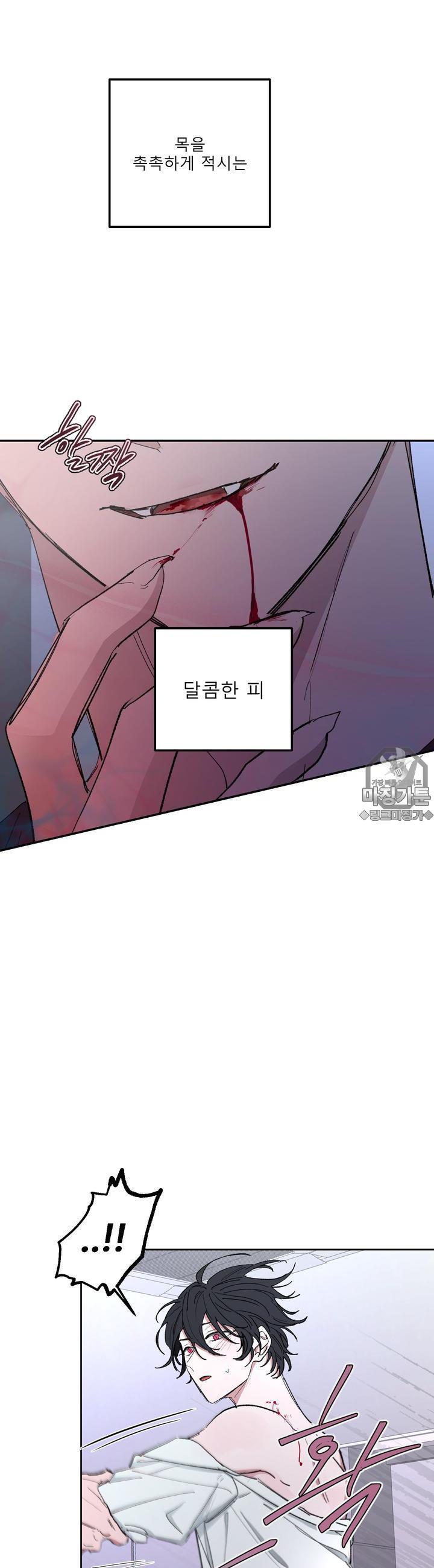 mzg_1702635321_46994636760700.jpg