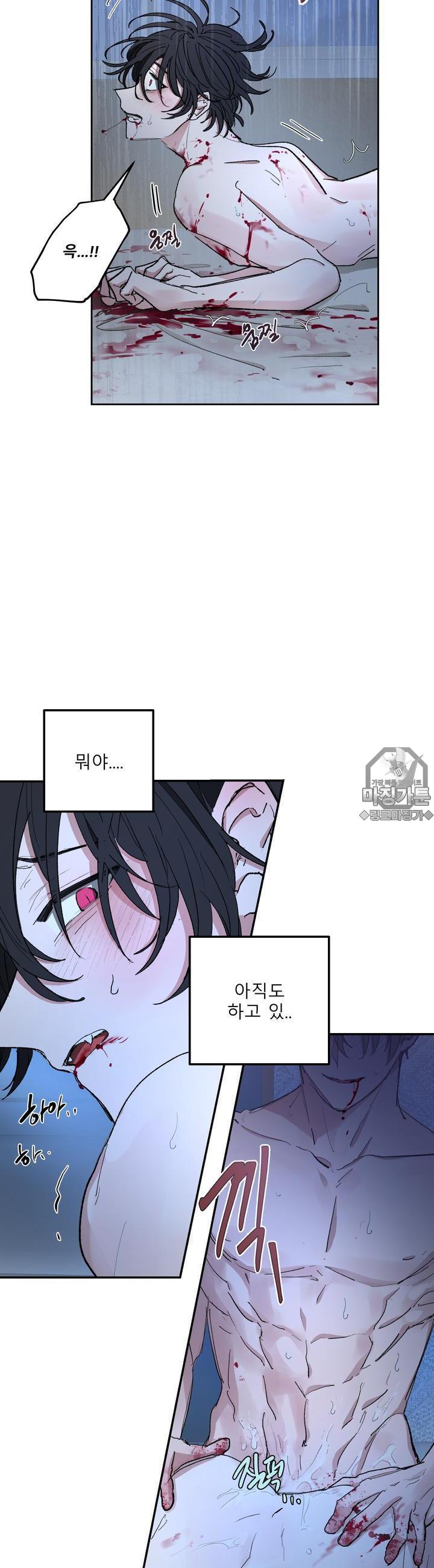 mzg_1702635465_76535540159915.jpg