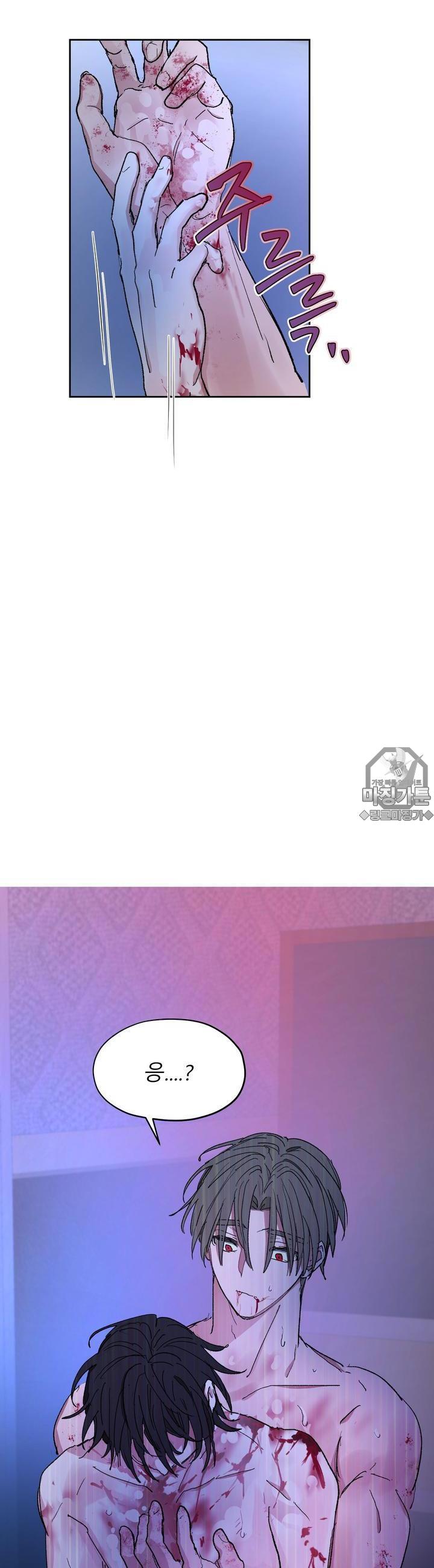 mzg_1702635519_41330273326079.jpg