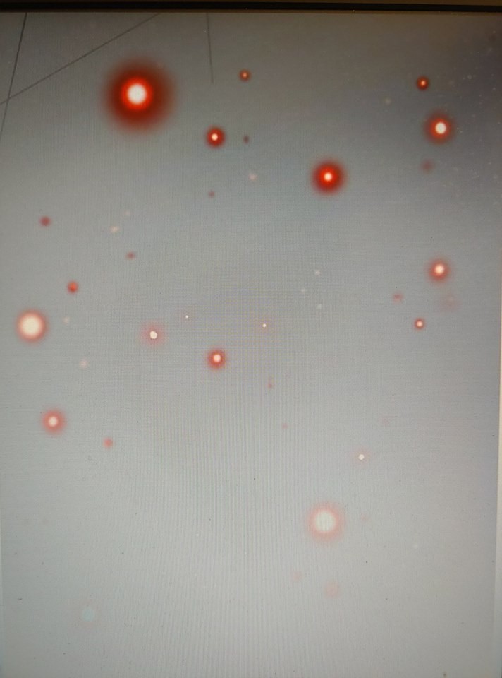 1685735328_62149376772787.jpg