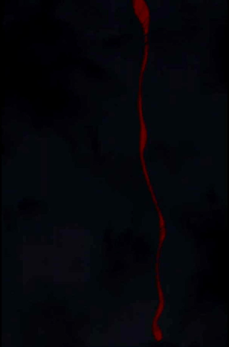 1713047324_74604474751295.jpg