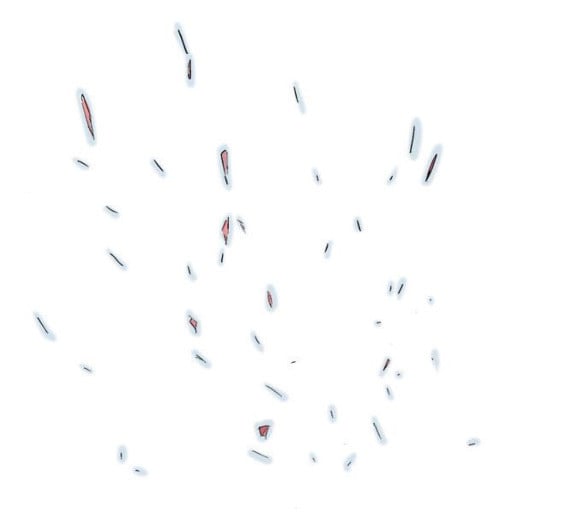1685751743_78775084435649.jpg