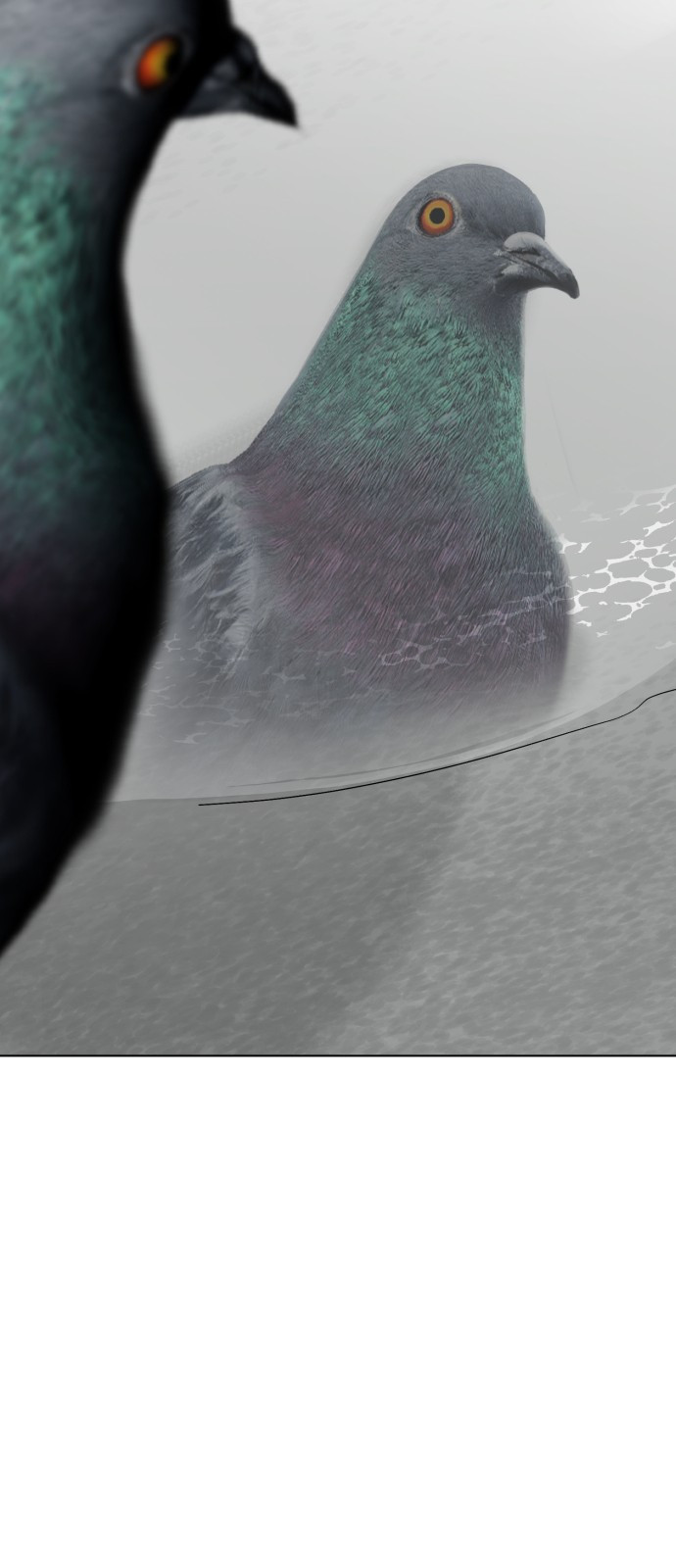 1721192495_19040287104299.jpg