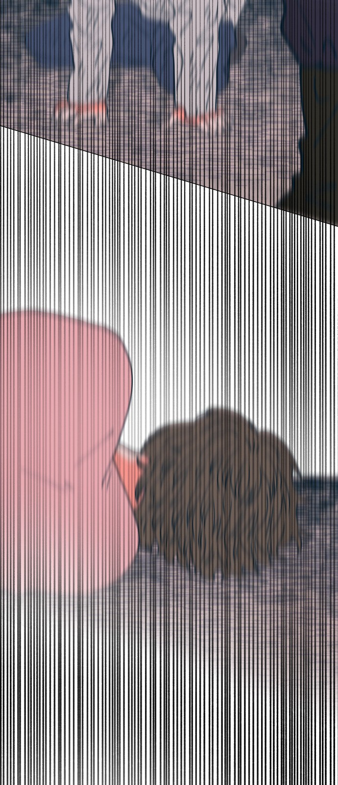1685799953_45135899396333.jpg