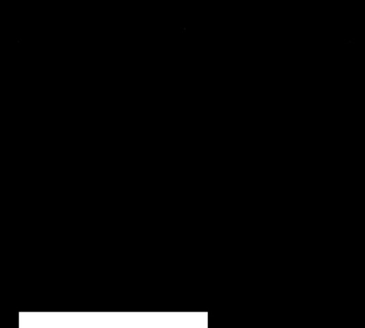 1729580943_46986622684047.jpg