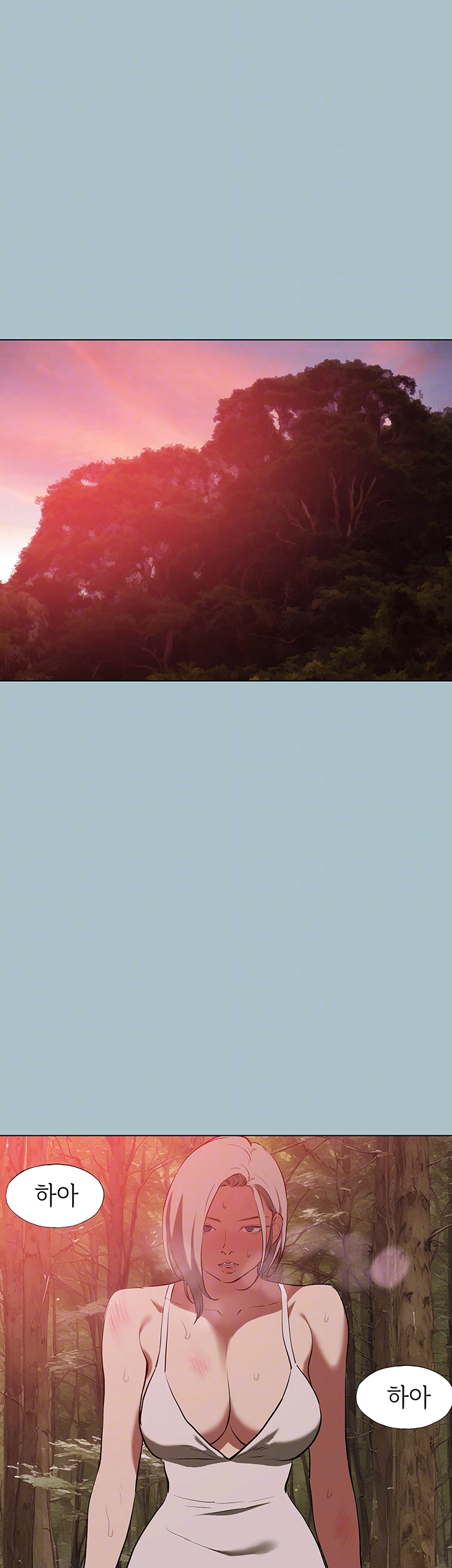 1738688629_63265388986320.jpg