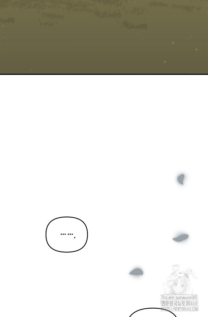 1742232056_88498649627567.jpg