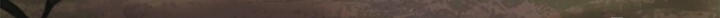 1717346952_33191468978854.jpg