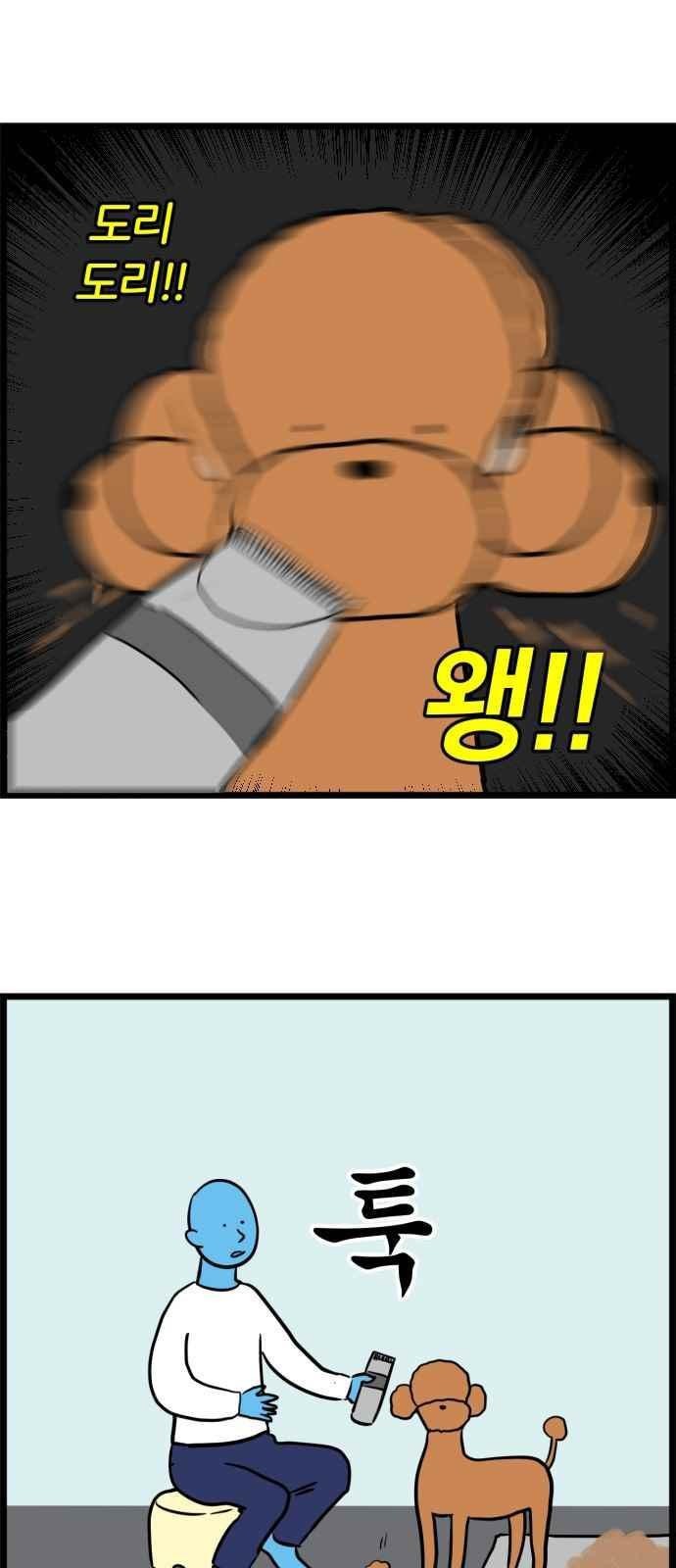 1685764402_16448587065215.jpg