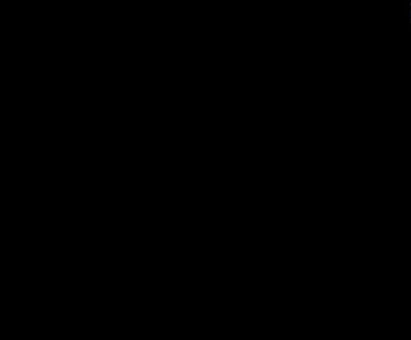 1685731522_17106033907941.jpg