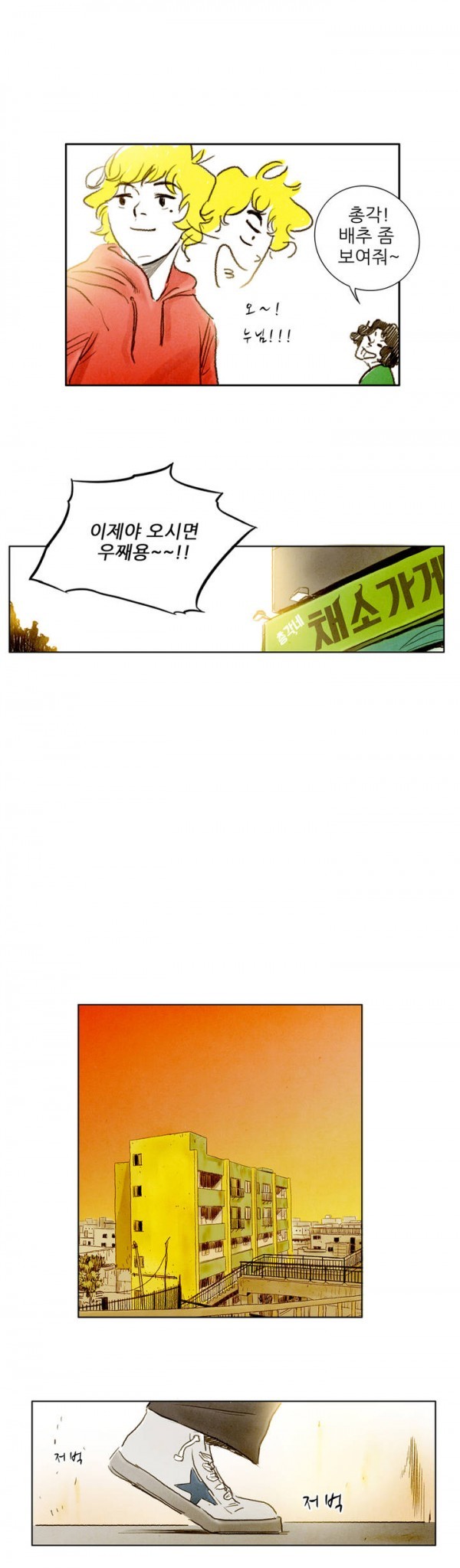 1685797414_16252336225533.jpg